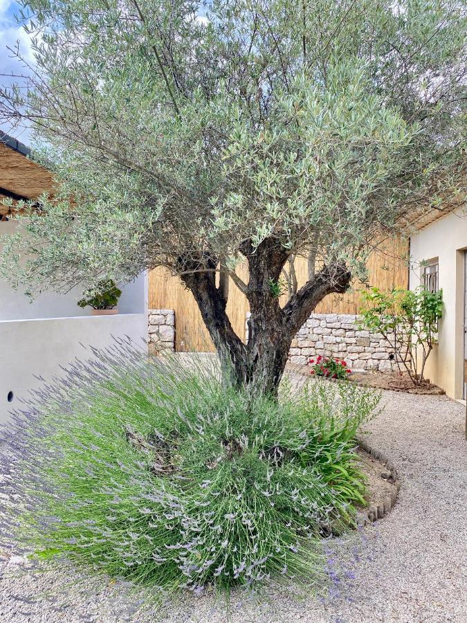 Le Cabanon Valbonne Apartman Kültér fotó